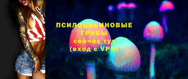 прущая мука Вязники