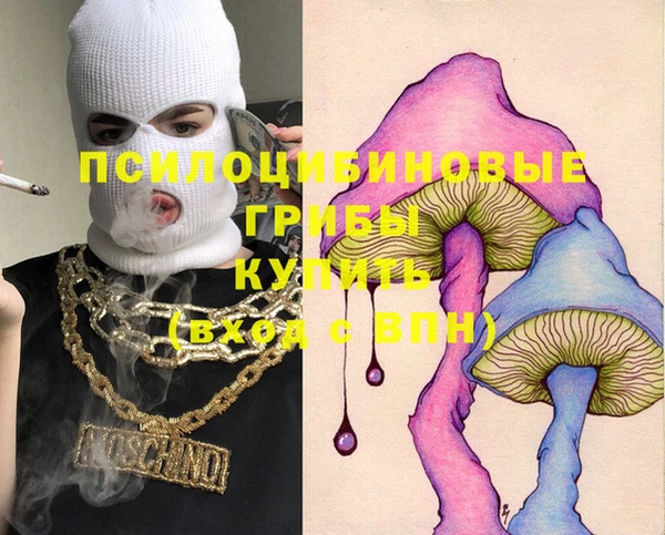 дурь Строитель