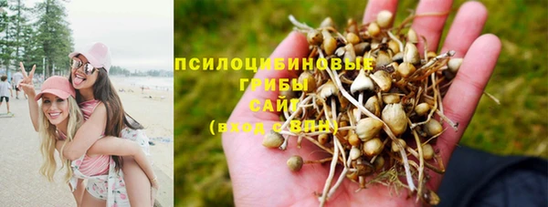 COCAINE Вяземский