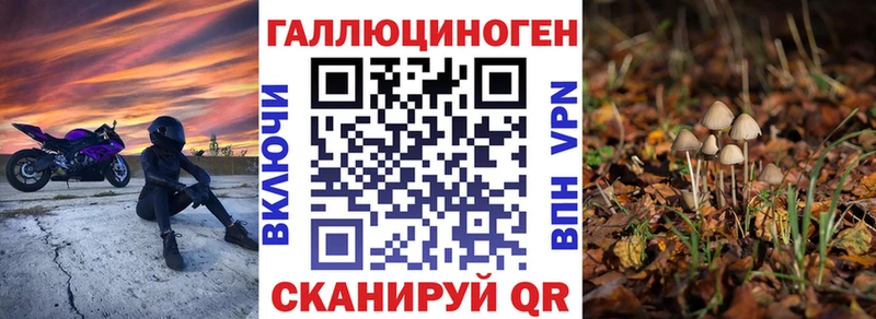 Купить где  Заполярный  Галлюциногенные грибы мицелий 